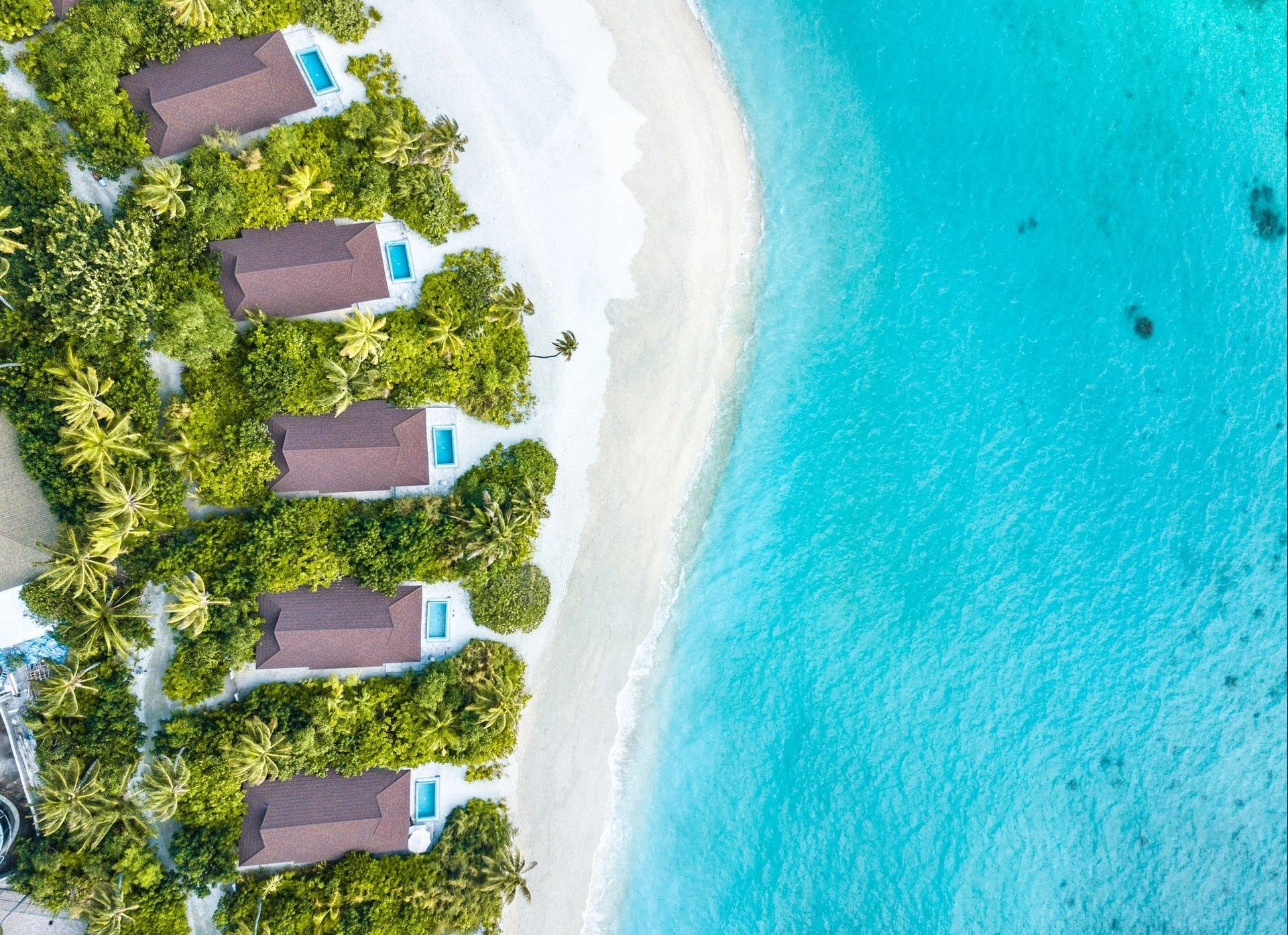 Ninh Bình, Ninh Bình nằm trong top điểm đến lên phim đẹp nhất châu Á, Kong: Đảo Đầu Lâu ảnh 13 Ninh Binh, Ninh Binh nam trong top diem den len phim dep nhat chau A, Kong: Dao Dau Lau anh 13