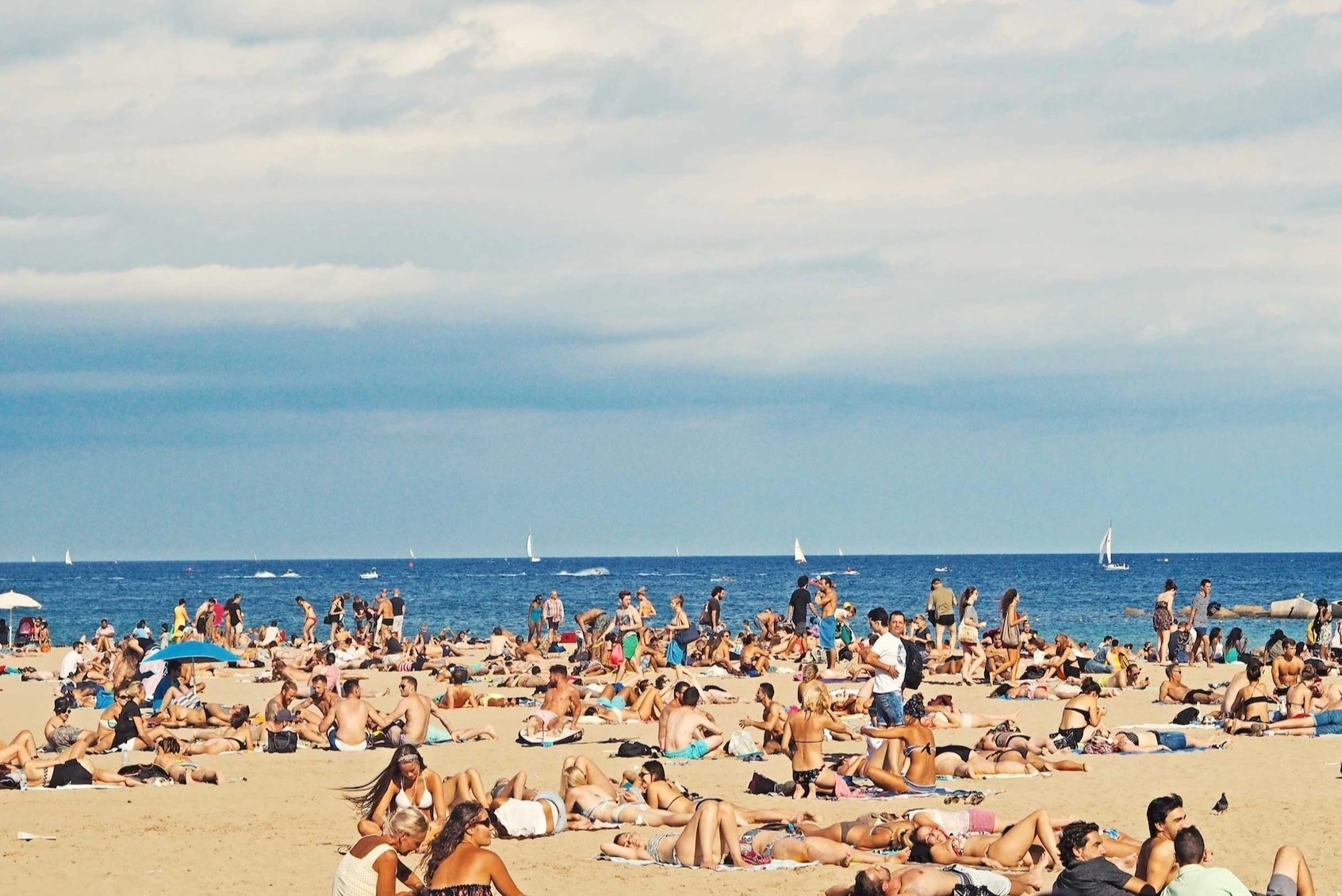 Ten trom tui bi bat qua tang tren truyen hinh o Barcelona hinh anh