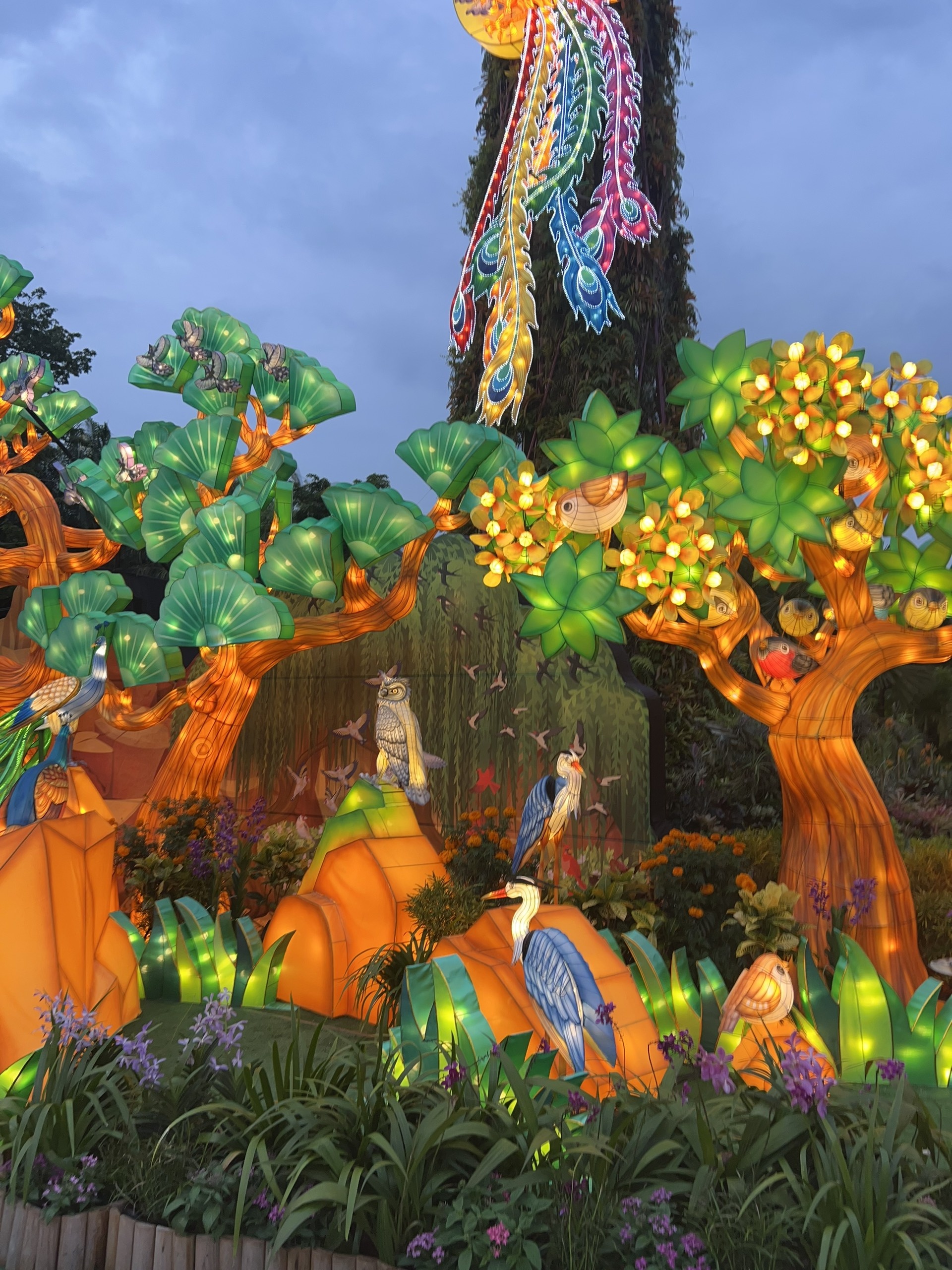 Singapore, du lịch Singapore, trung thu Singapore ảnh 4 Singapore, du lich Singapore, trung thu Singapore anh 4