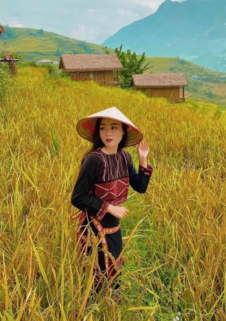 mua lua chin,  homestay ngam lua chin anh 2