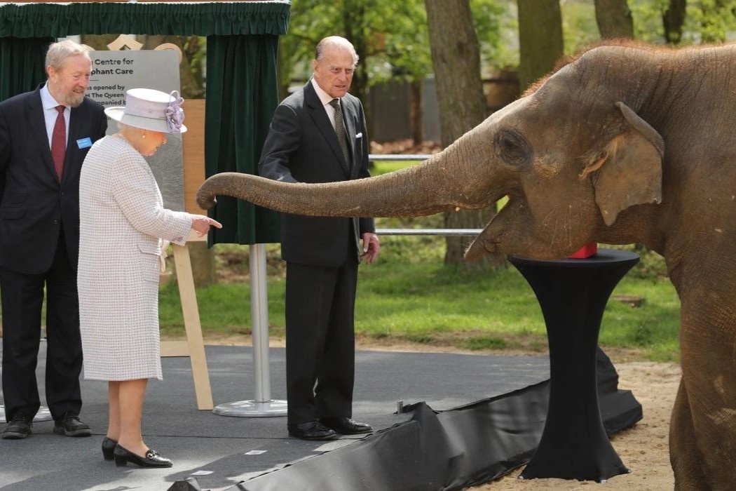 Cac diem tham quan o Anh dong cua sau khi Nu hoang qua doi hinh anh