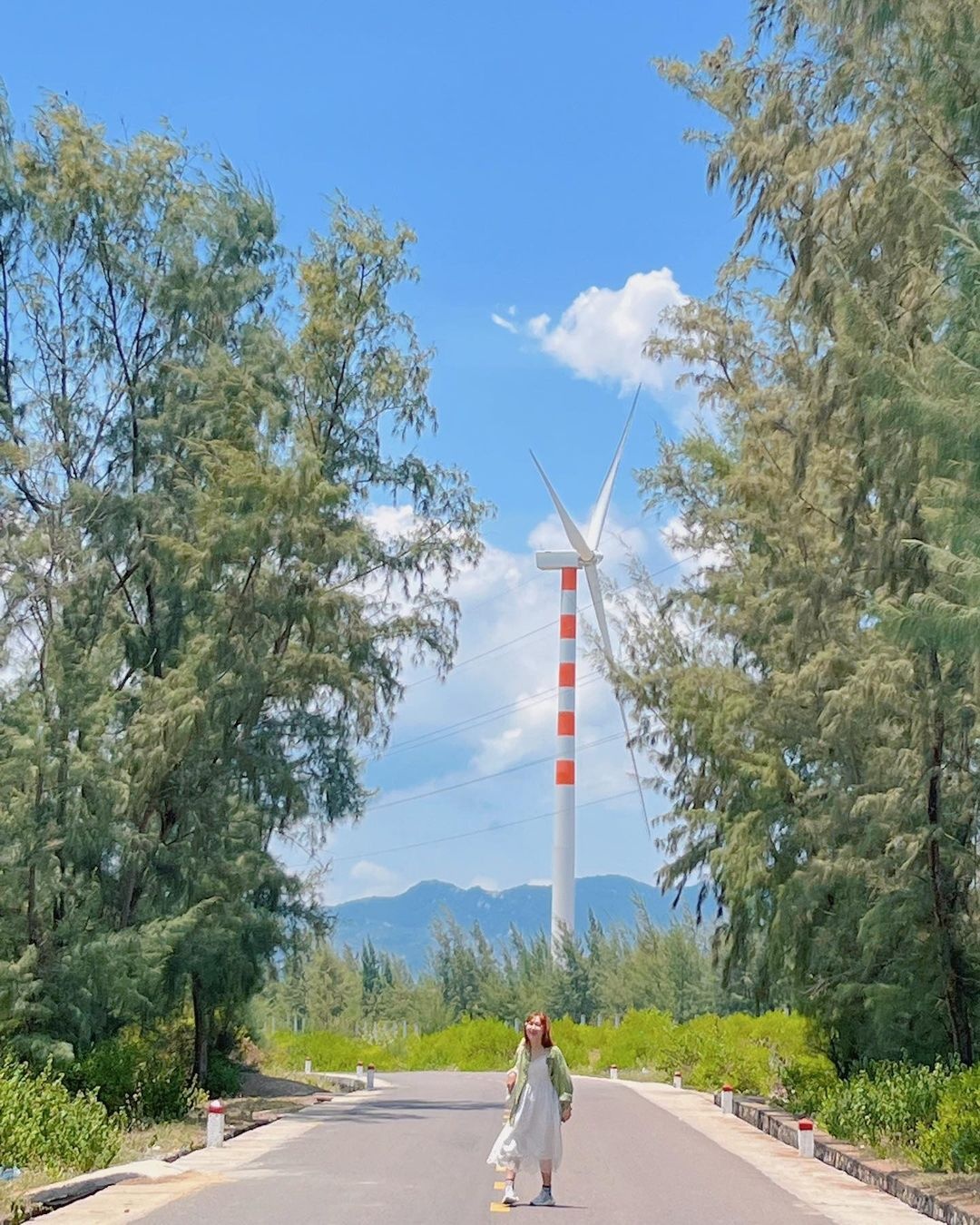 canh dong dien gio,  check-in dien gio,  canh dong quat gio anh 5