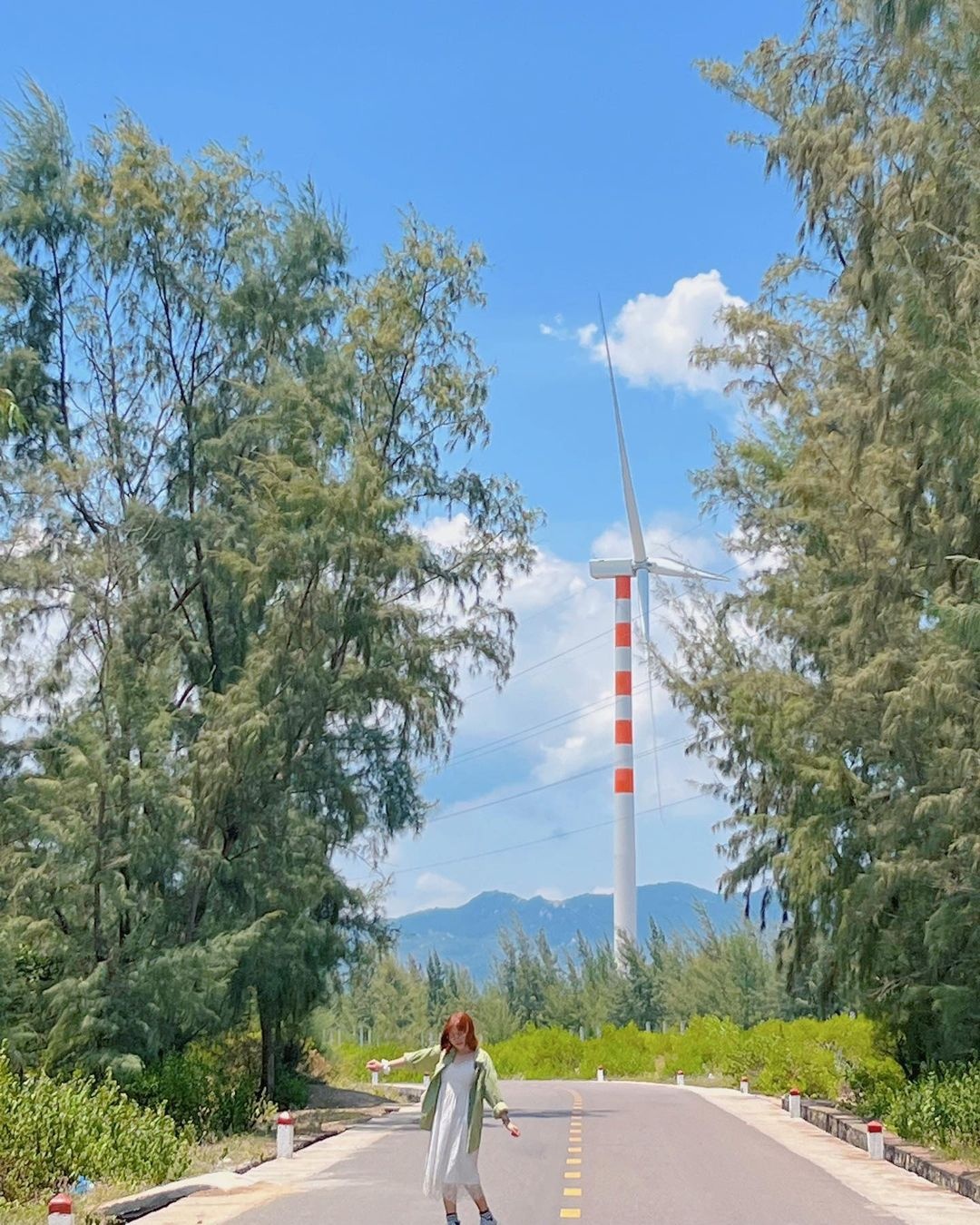 canh dong dien gio,  check-in dien gio,  canh dong quat gio anh 4