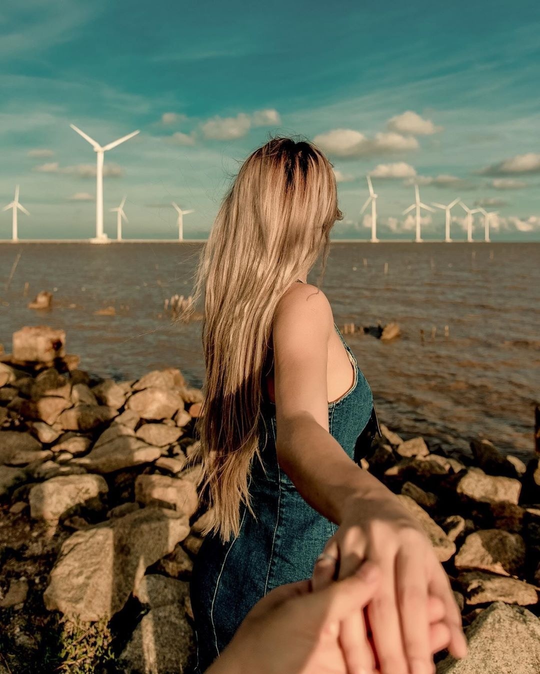 canh dong dien gio,  check-in dien gio,  canh dong quat gio anh 2