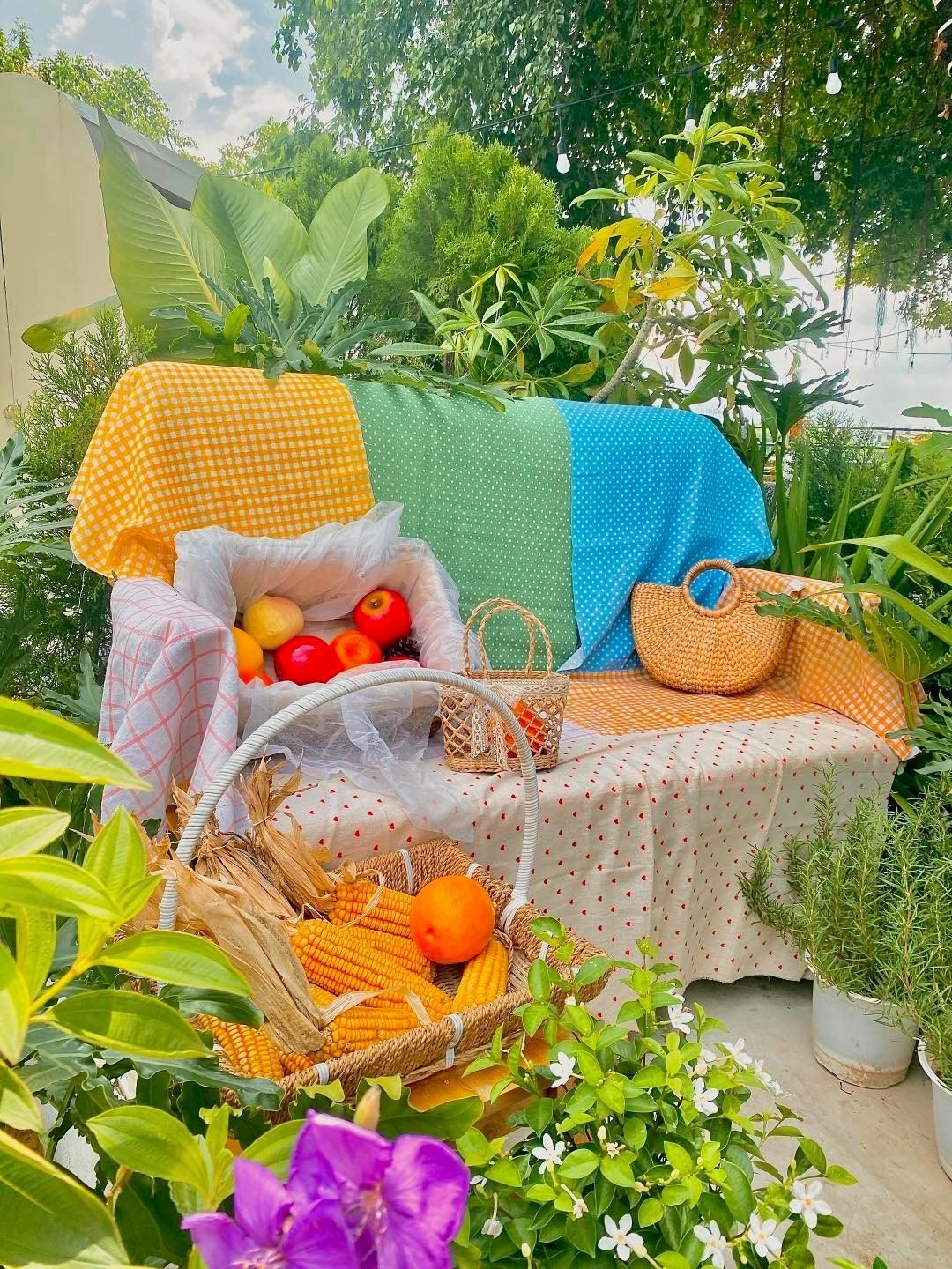 ngam hoang hon,  ca phe o TP.HCM anh 3