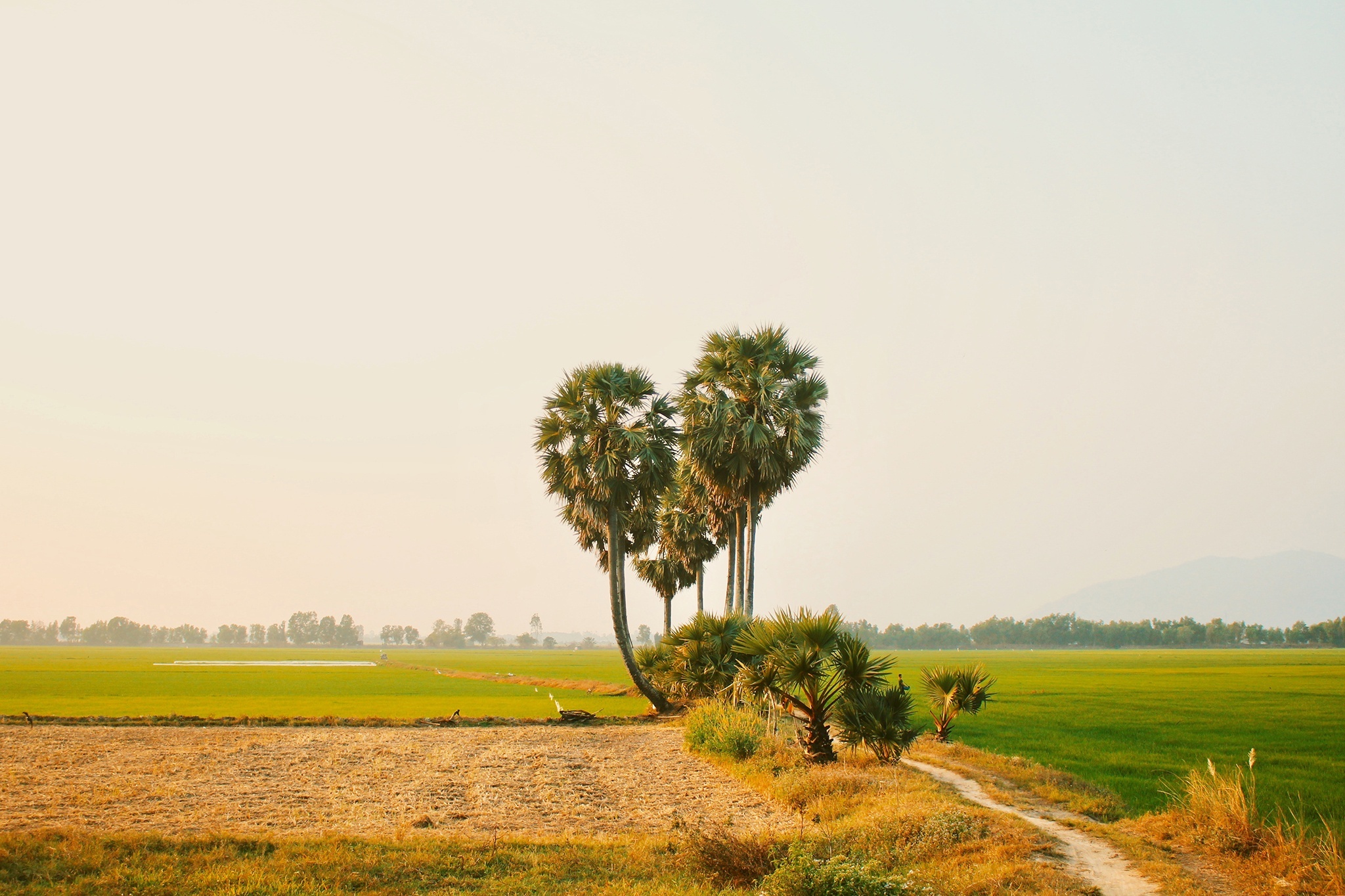 du lich an giang,  du lich mien tay,  kinh nghiem du lich anh 3