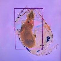 bay cung thu cung,  kiem tra an ninh anh 1