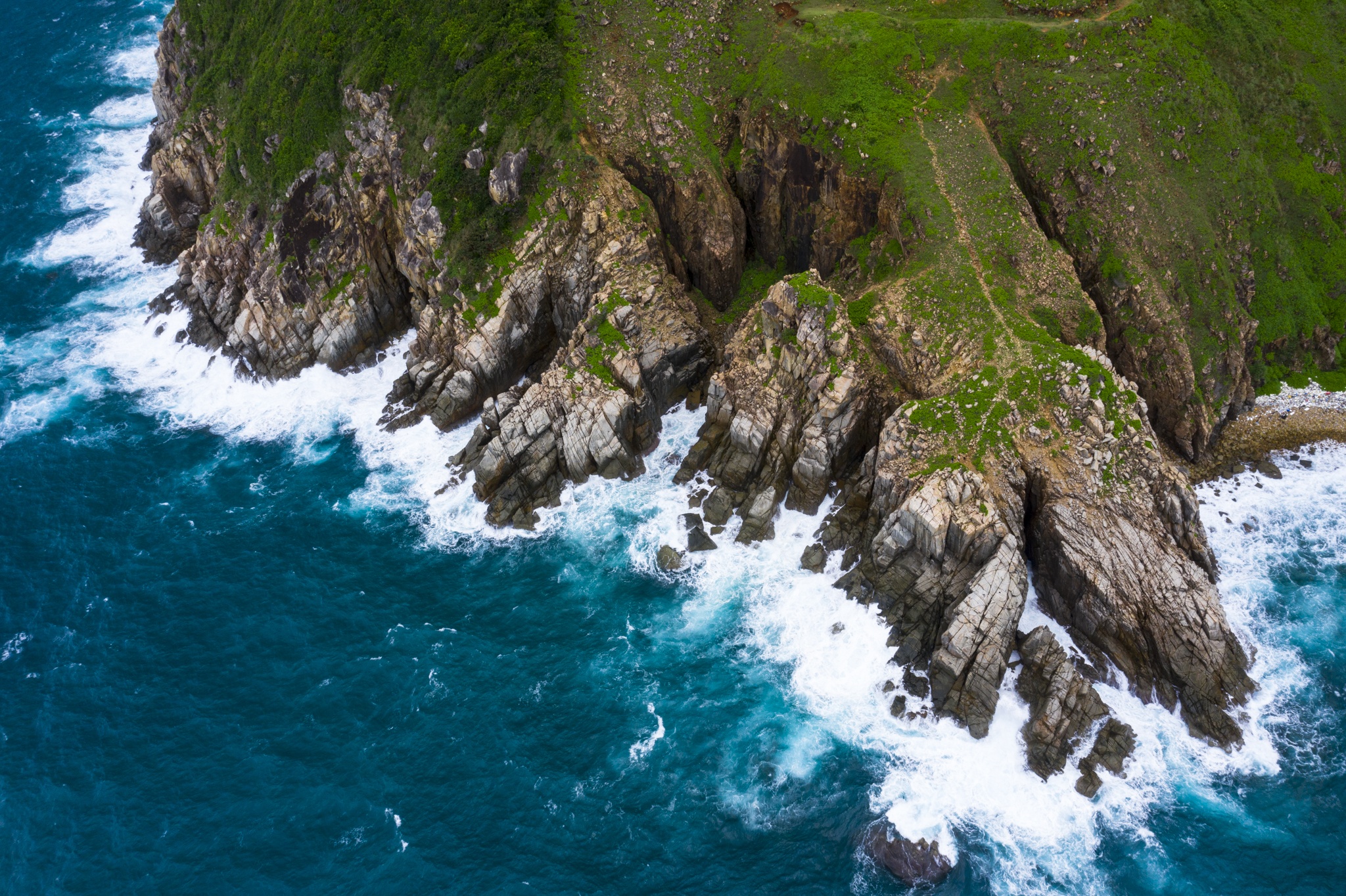 du lich con dao,  thien nhien con dao,  kham pha con dao anh 6