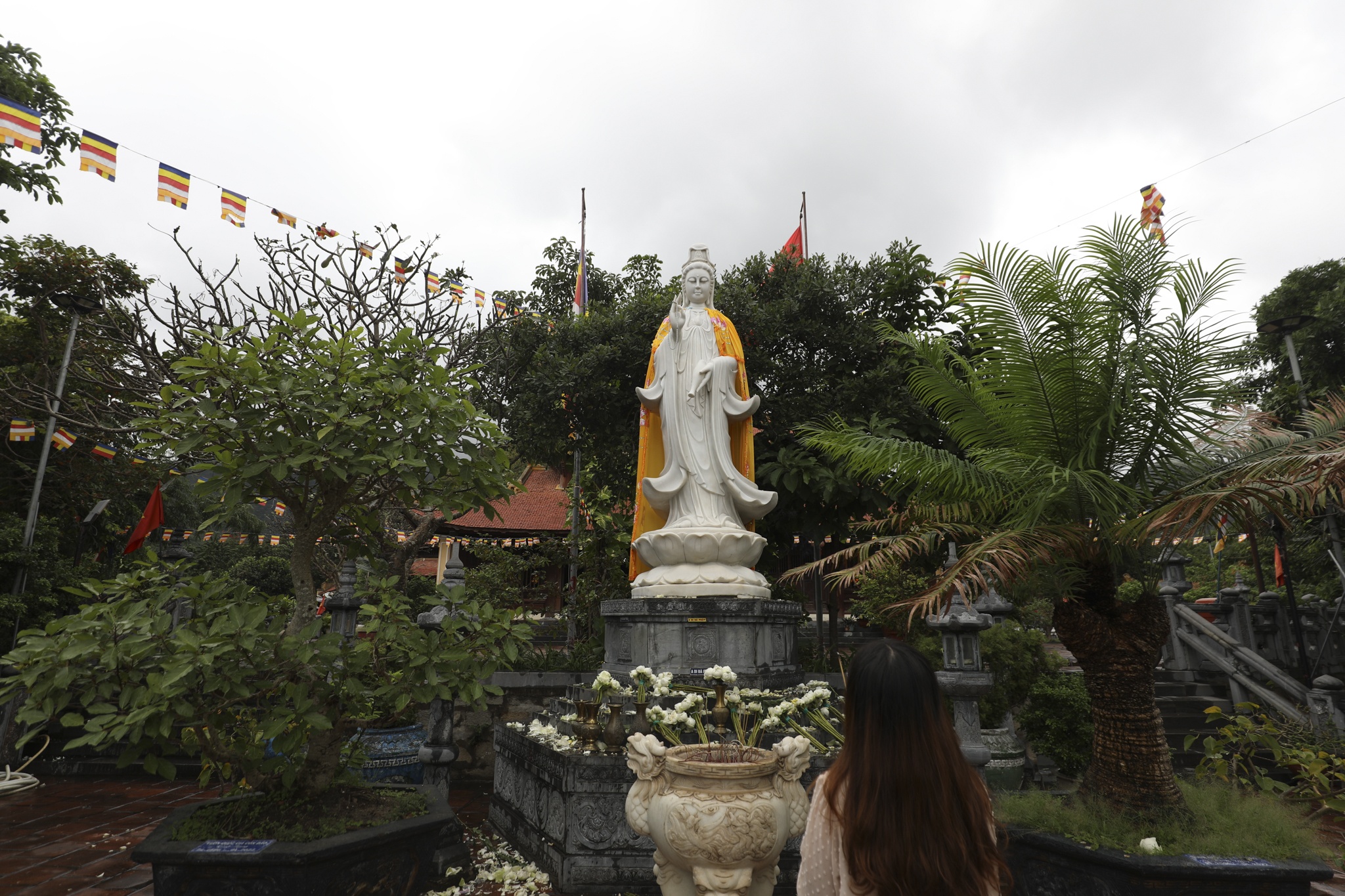 du lich con dao,  thien nhien con dao,  kham pha con dao anh 10