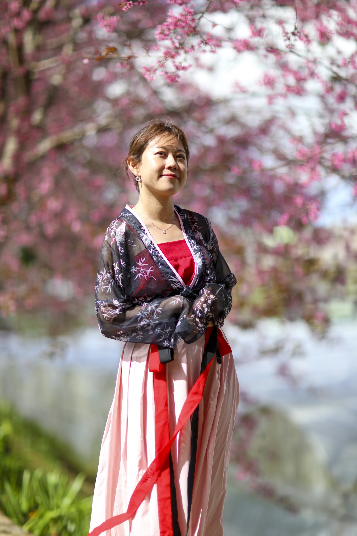 mua mai anh dao,  duong mai anh dao,  hoa mai anh dao,  tet quy mao 2023,  du lich da lat anh 13