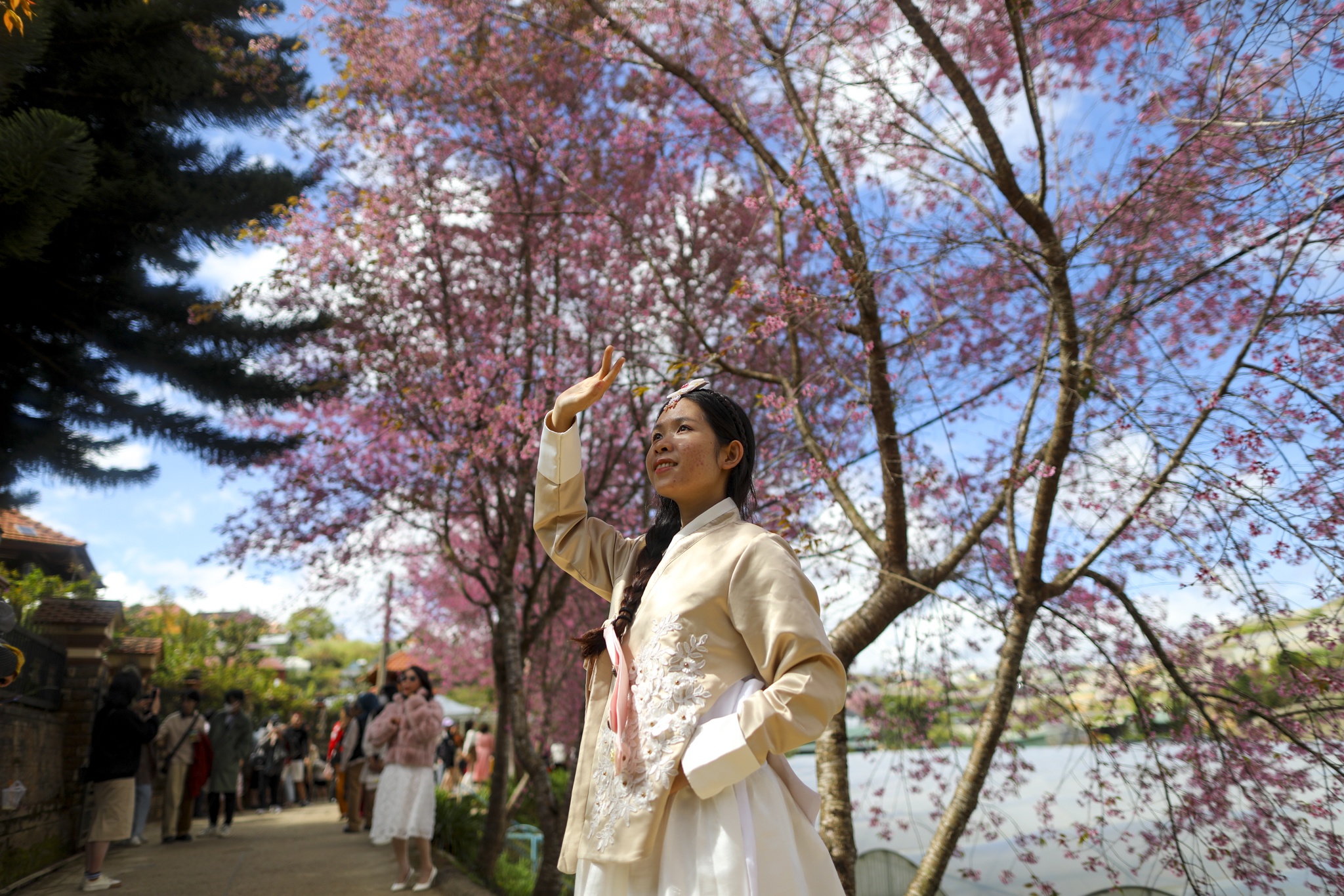 Du khach Viet siet hau bao hinh anh