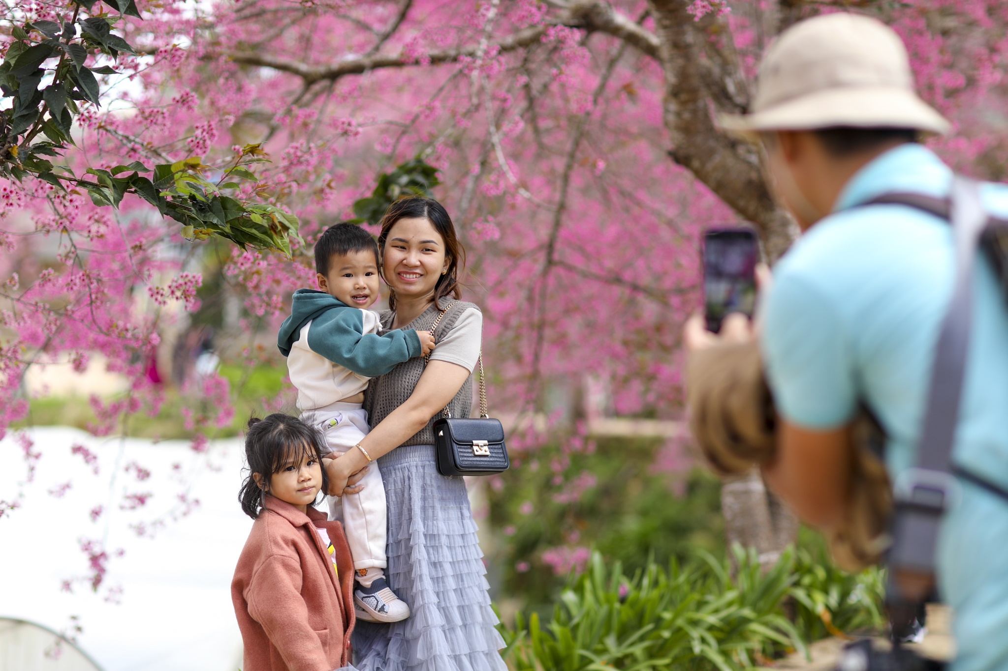 mua mai anh dao,  duong mai anh dao,  hoa mai anh dao,  tet quy mao 2023,  du lich da lat anh 20