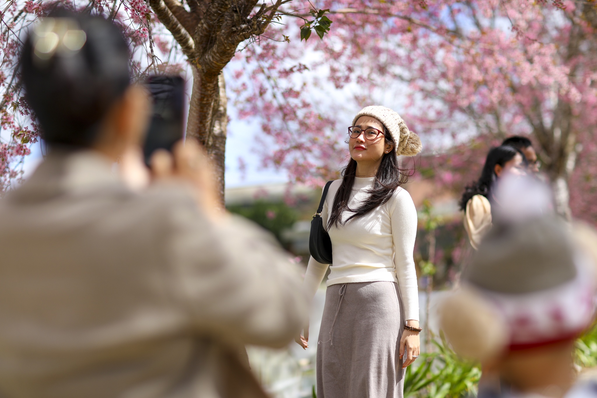 mua mai anh dao,  duong mai anh dao,  hoa mai anh dao,  tet quy mao 2023,  du lich da lat anh 16