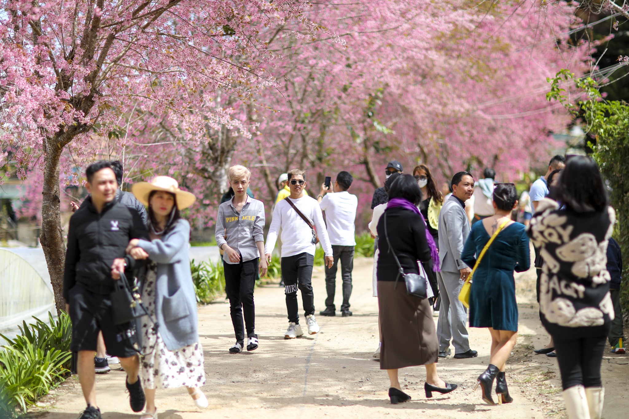 du lich da lat,  du lich tet,  hang quan da lat,  du khach da lat,  quang truong da lat anh 9
