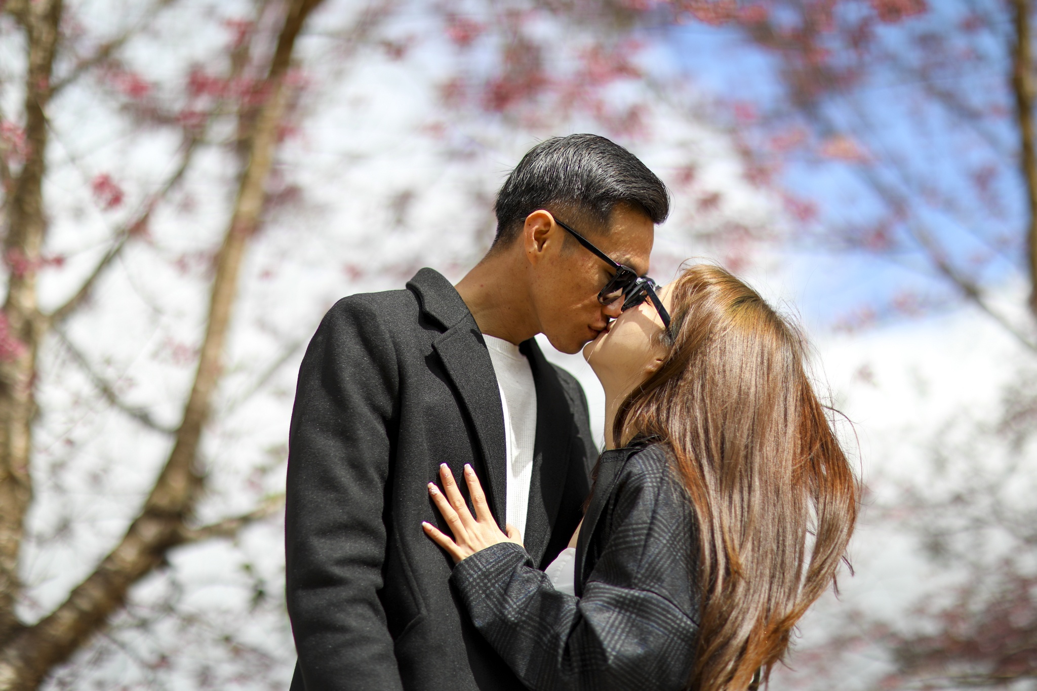 mua mai anh dao,  duong mai anh dao,  hoa mai anh dao,  tet quy mao 2023,  du lich da lat anh 24