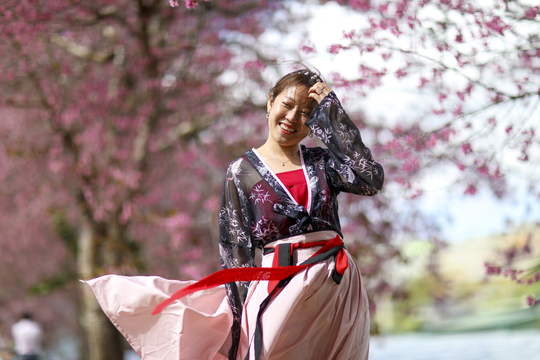 mua mai anh dao,  duong mai anh dao,  hoa mai anh dao,  tet quy mao 2023,  du lich da lat anh 23