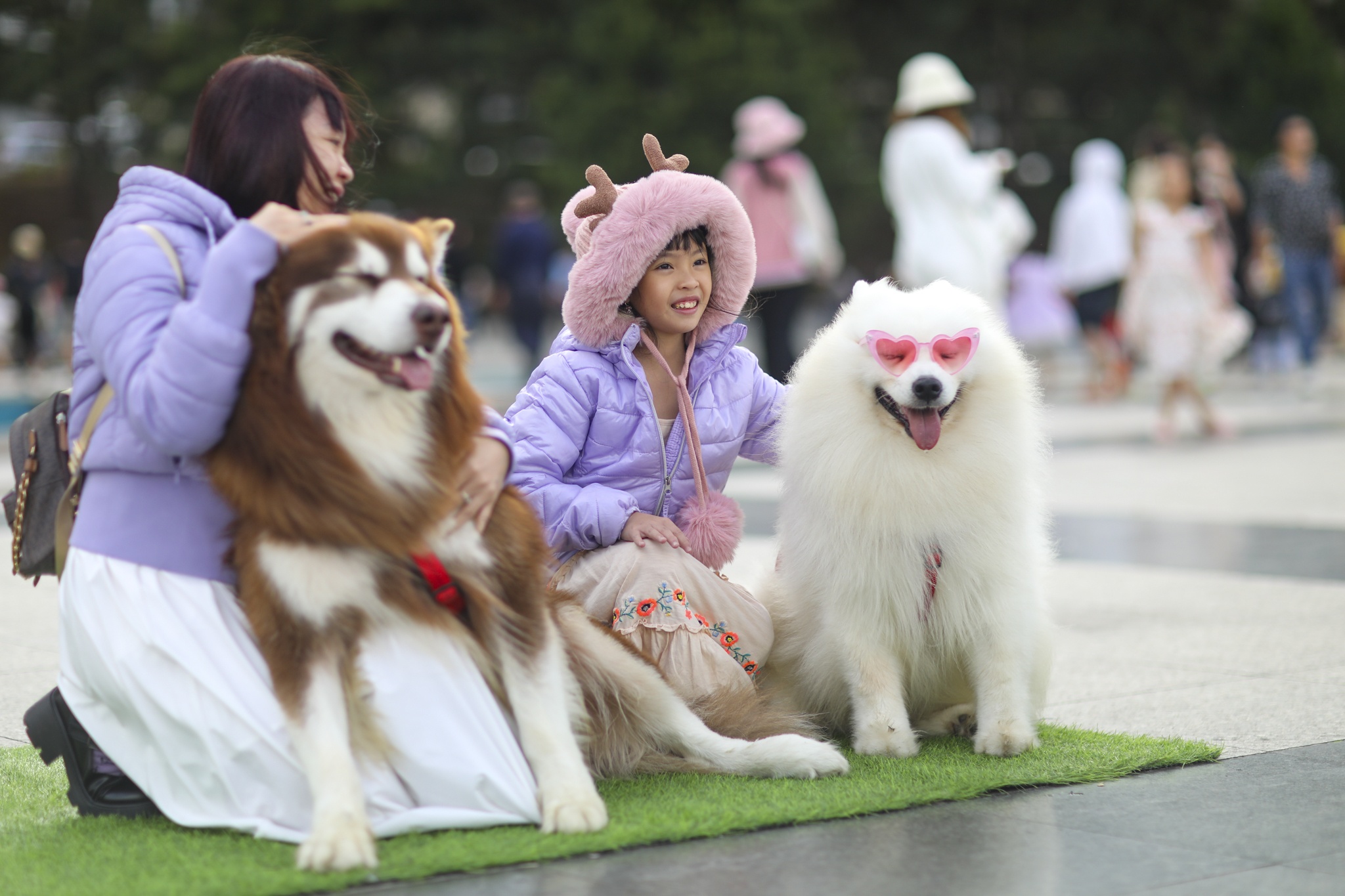 du lich da lat,  du lich tet,  hang quan da lat,  du khach da lat,  quang truong da lat anh 4
