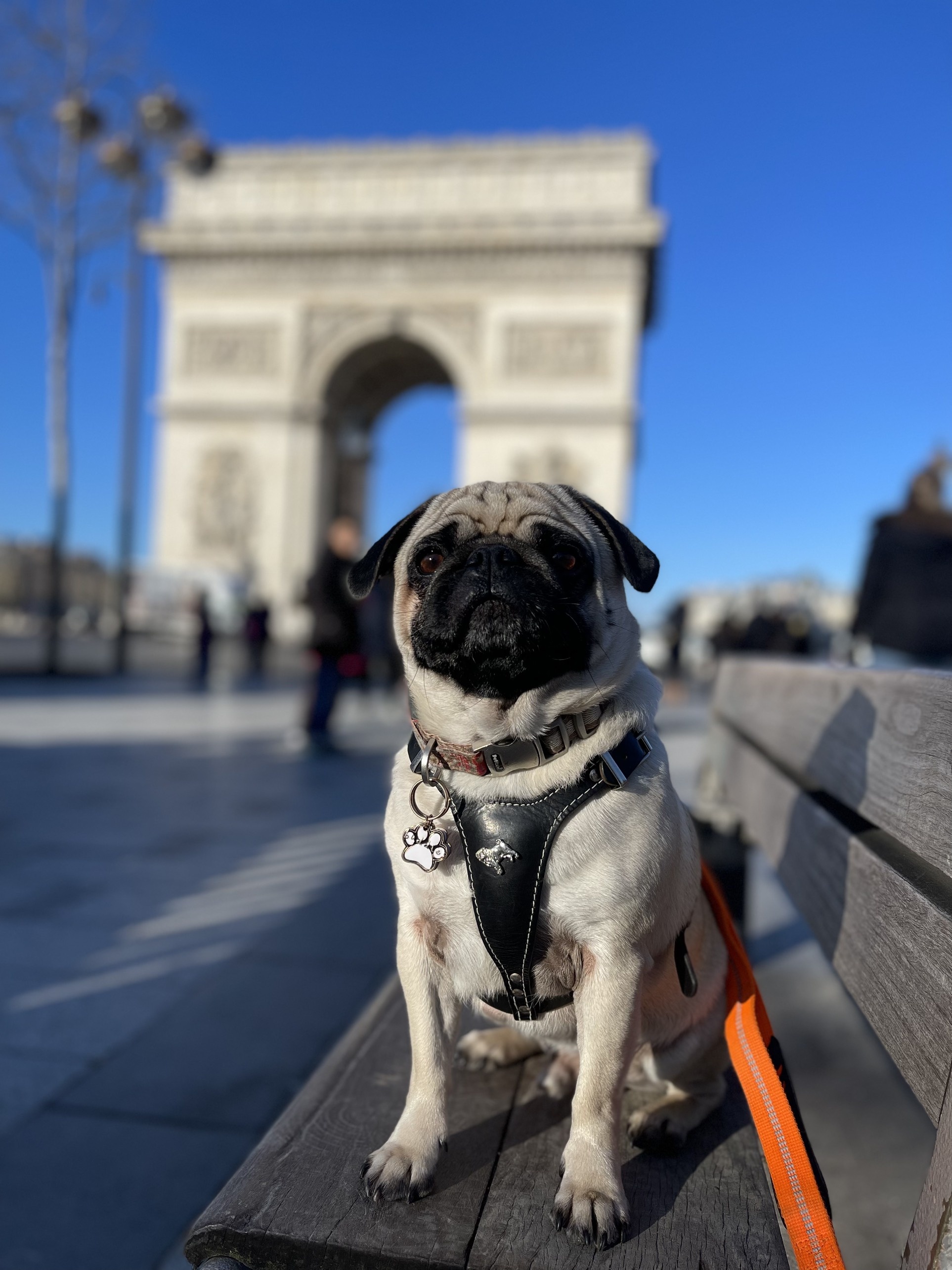 kinh nghiệm du lịch, du lịch châu âu, du lịch thú cưng ảnh 10 kinh nghiem du lich, du lich chau au, du lich thu cung anh 10