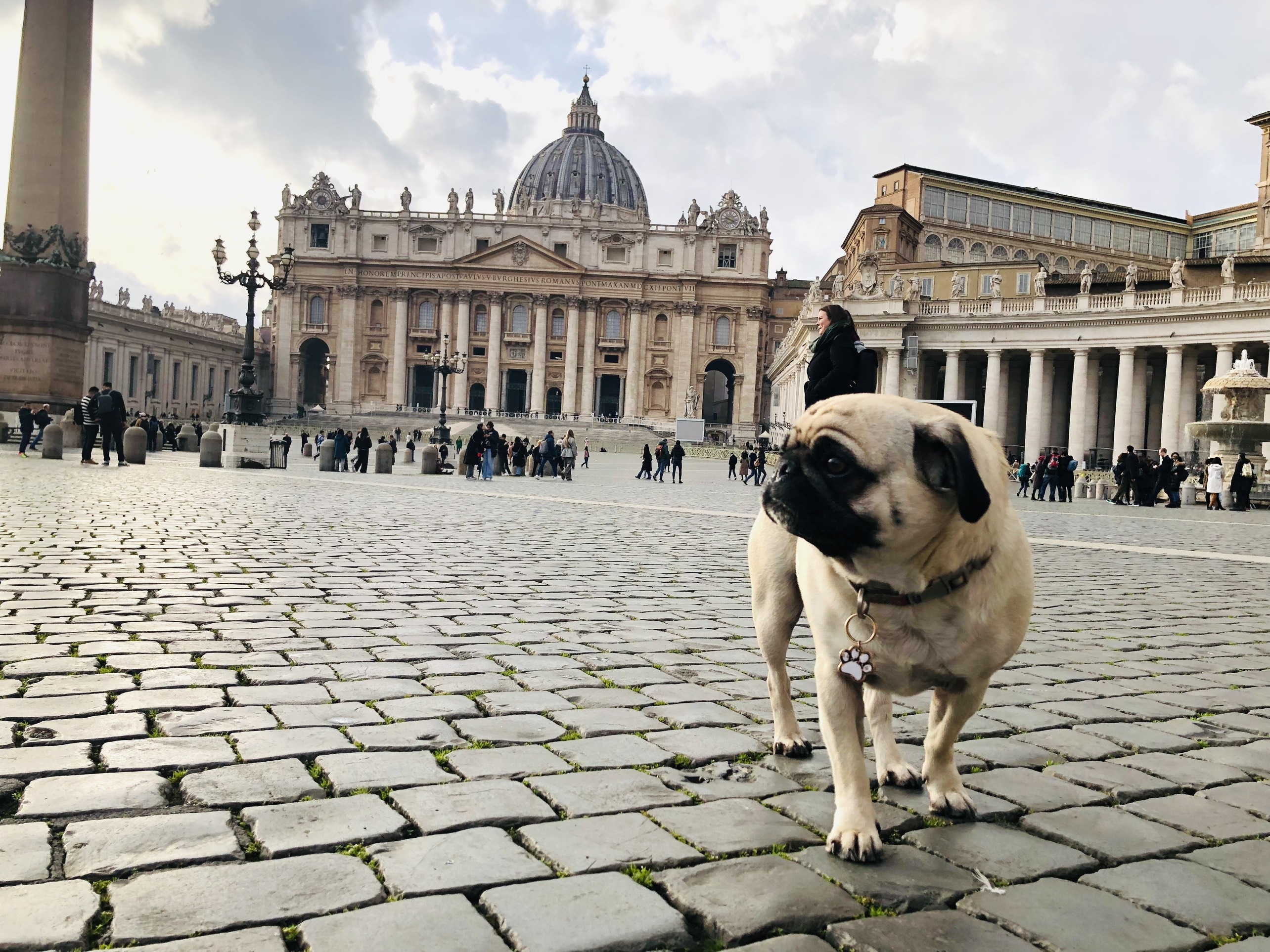 kinh nghiệm du lịch, du lịch châu âu, du lịch thú cưng ảnh 9 kinh nghiem du lich, du lich chau au, du lich thu cung anh 9