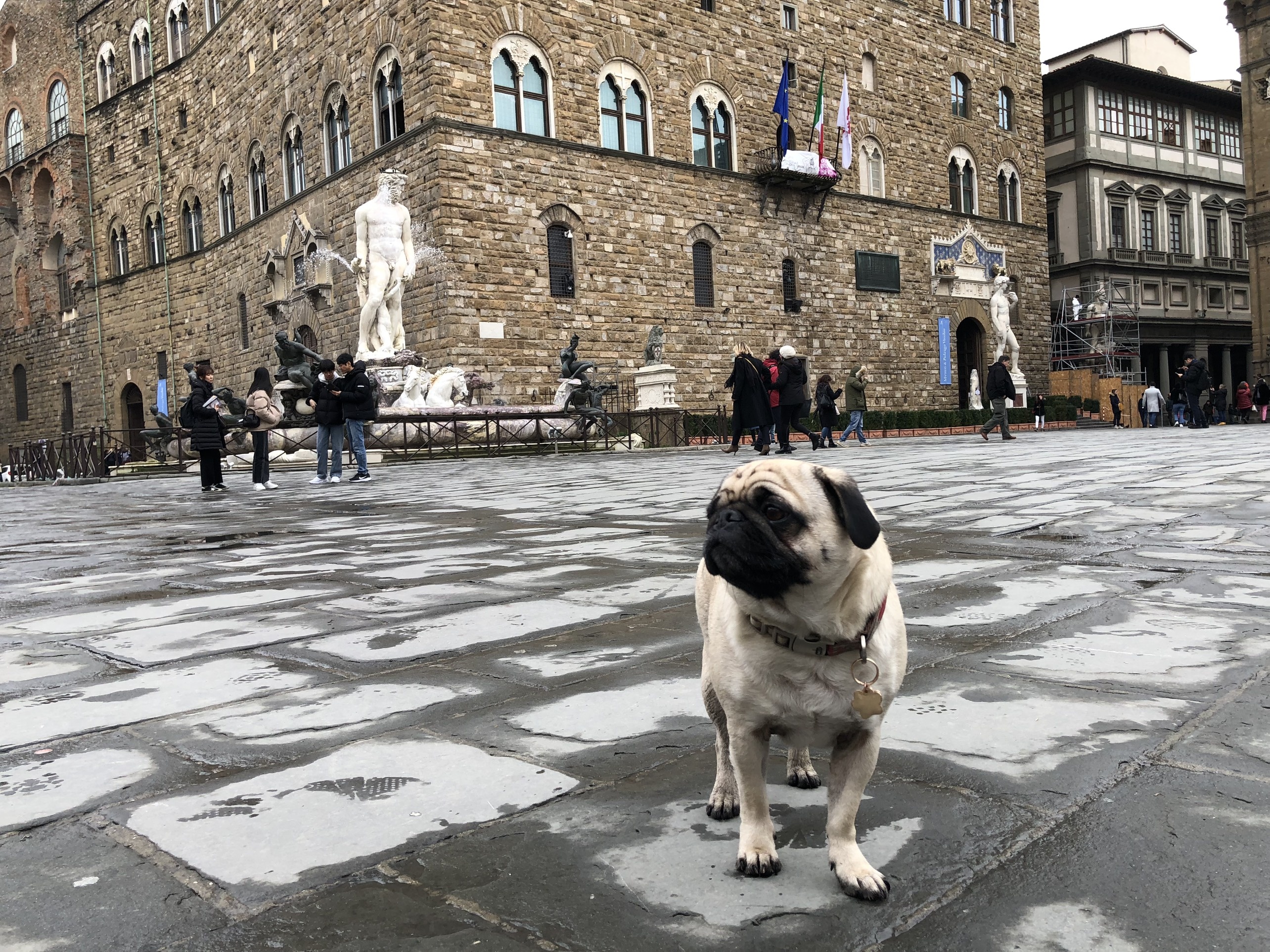 kinh nghiem du lich,  du lich chau au,  du lich thu cung anh 3