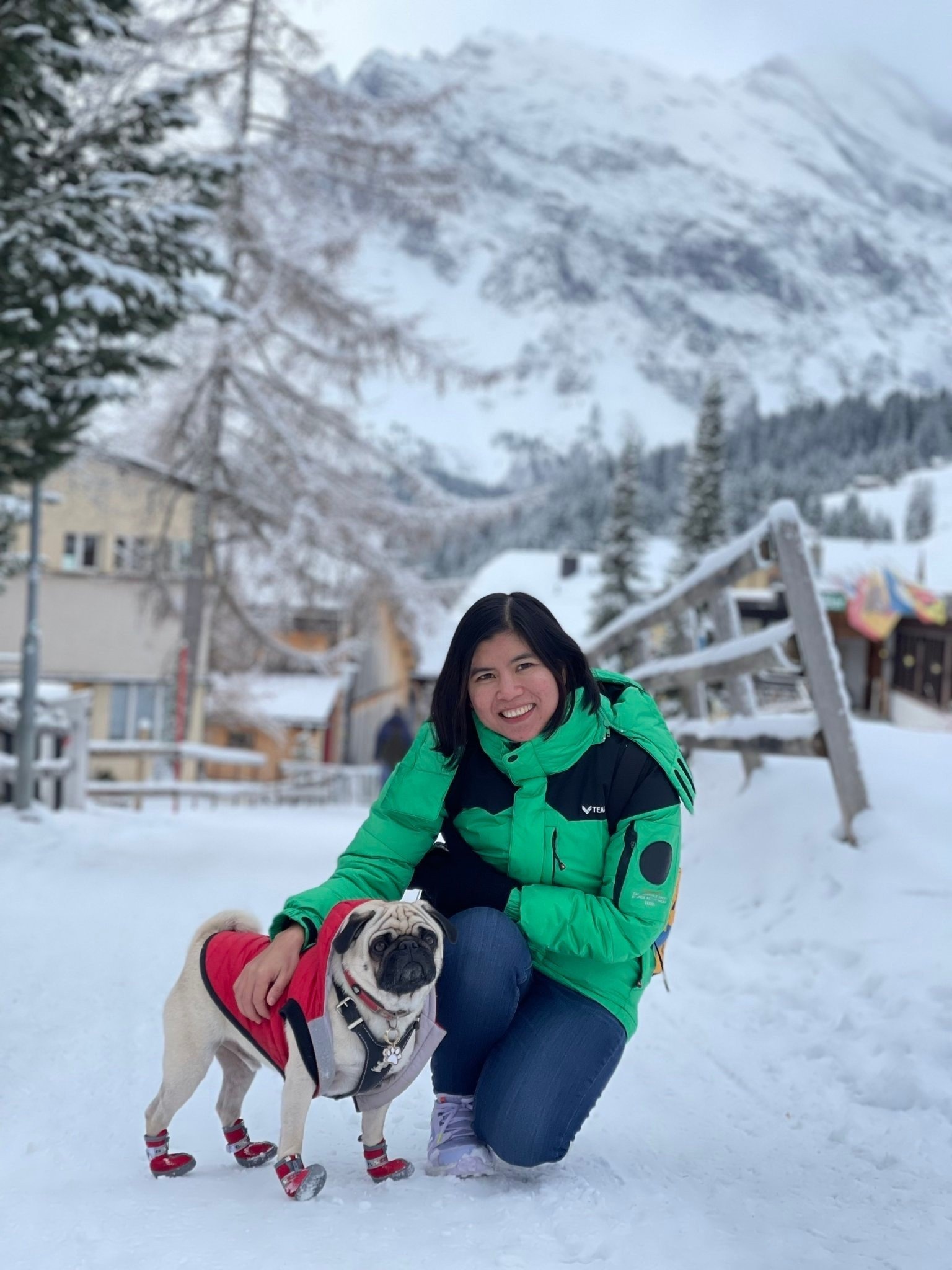 kinh nghiệm du lịch, du lịch châu âu, du lịch thú cưng ảnh 4 kinh nghiem du lich, du lich chau au, du lich thu cung anh 4