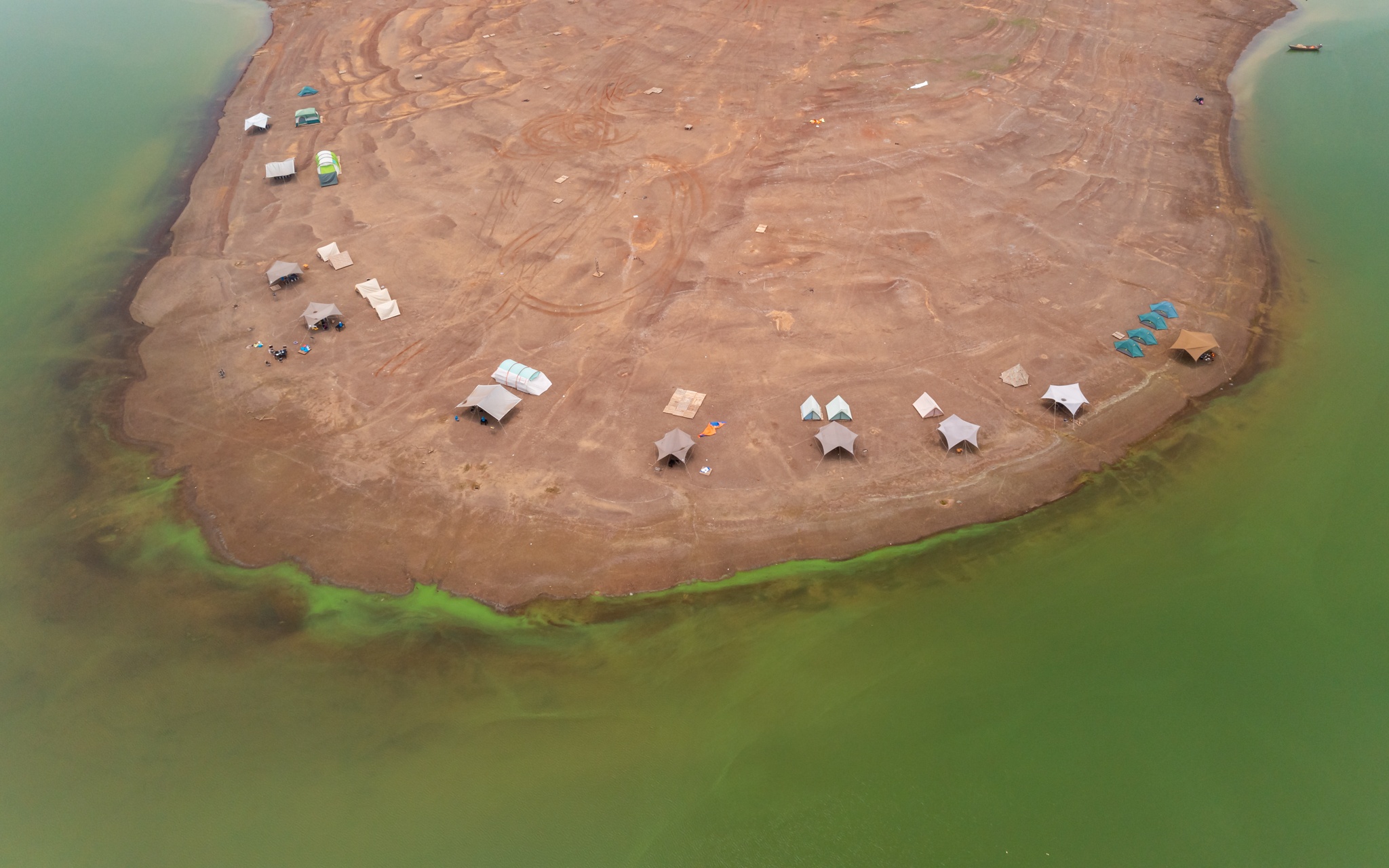 Van co the cam trai quanh ho Tri An hinh anh