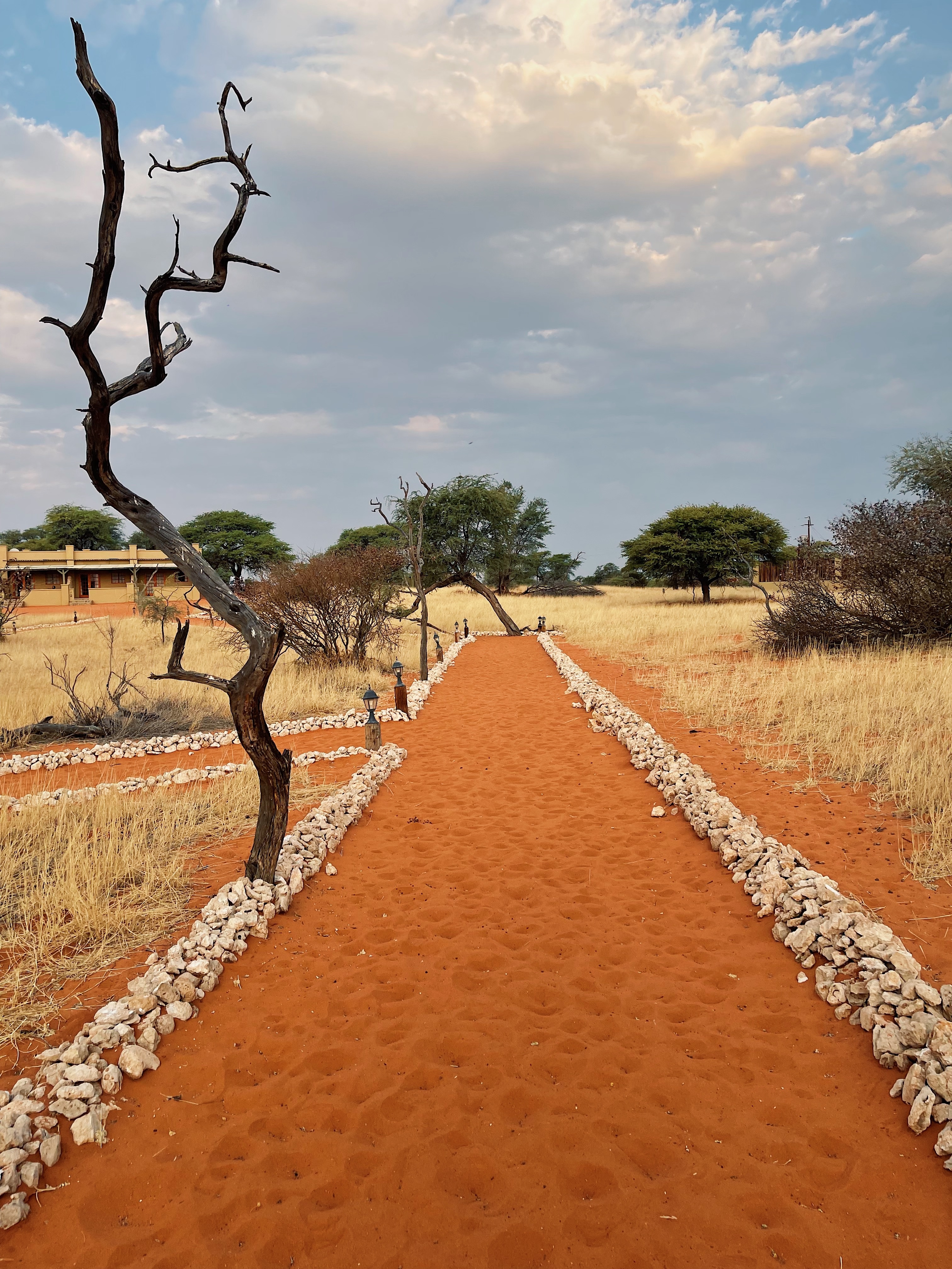 du lich chau phi,  kinh nghiem du lich,  du lich namibia,  roadtrip chau phi,  sa mac chau phi anh 11