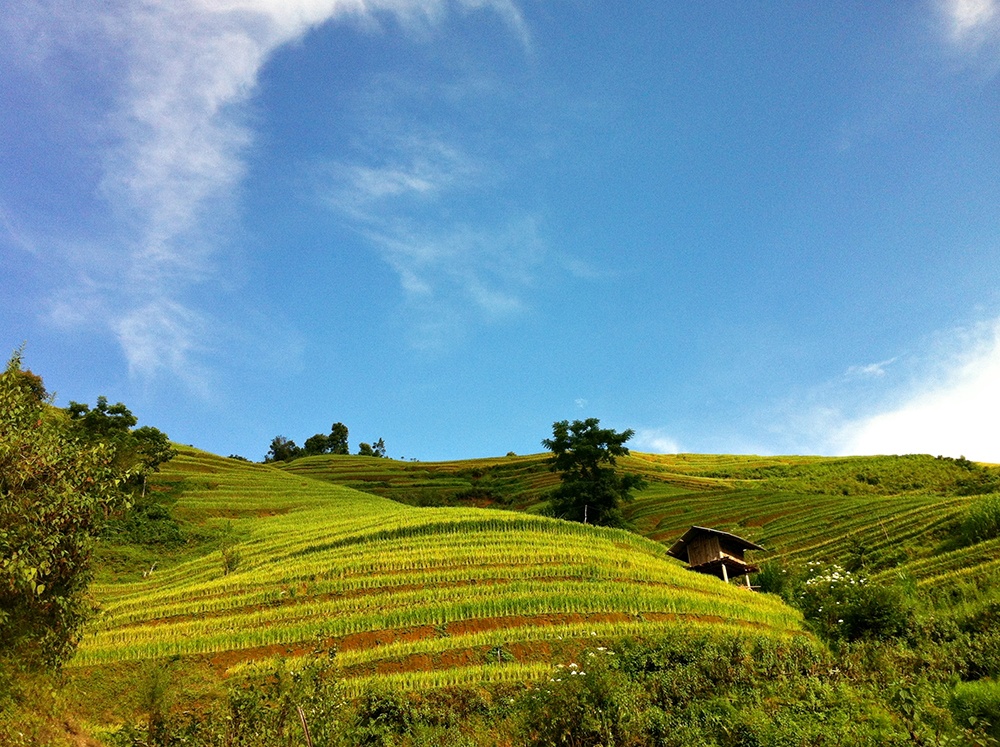Dọc đường đi, ruộng bậc thang có khi nằm sâu dưới thung lũng, có khi cheo leo trên sườn đồi.