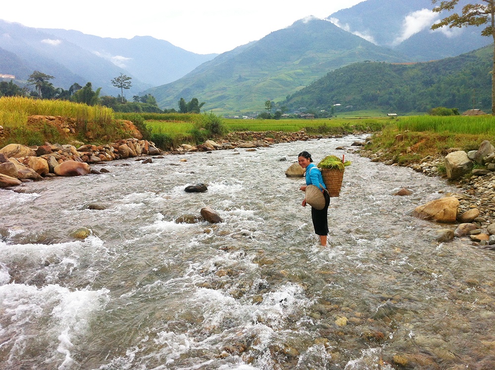 Cô gái Mông vui vẻ qua suối để về nhà. Chiếc gùi trĩu nặng thóc nếp mà cô cắt sớm về để làm cốm.