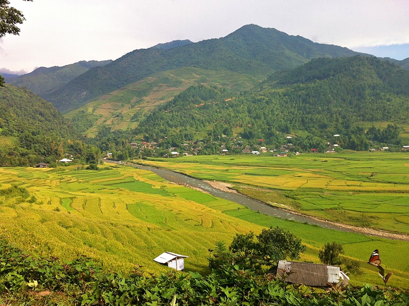 Một góc thị trấn Tú Lệ, vùng đất xinh đẹp y như cái tên của nó, cũng là nơi có loại gạo dẻo thơm ngon trứ danh. Lúa đang chín dần, nên khắp thung lũng là những mảng màu xanh non đan xen với màu vàng ươm.