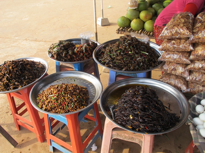 Khởi nguồn cho sở thích ăn côn trùng của nhiều nước trên thế giới, ngày nay nhiều người dân đổi đời nhờ săn bắt và bán côn trùng đi các nước