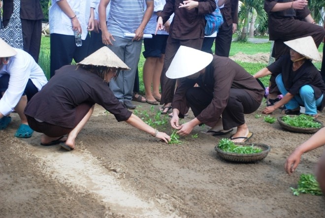 Thử làm nông dân trồng rau. Ảnh thethaovanhoa