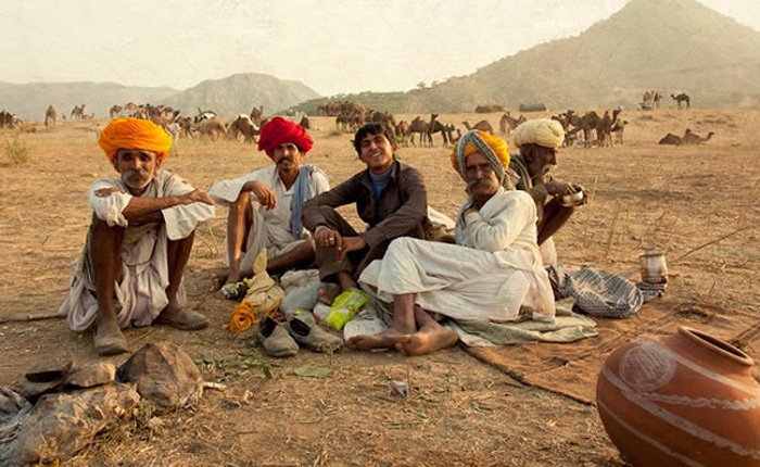 Không chỉ hết lòng bảo vệ loài vật mà họ còn bảo vệ cây rừng như chính xương thịt của họ.