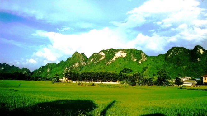 Ngo ngang truoc 'song nui' Cho Chu hinh anh