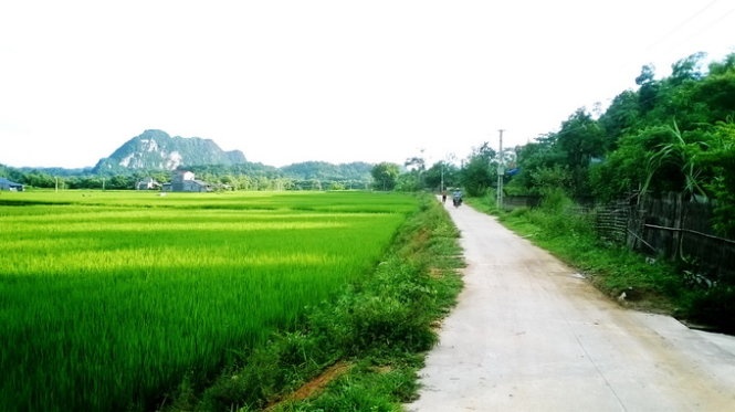 một vùng quê thanh bình xa xa là dãy núi đá