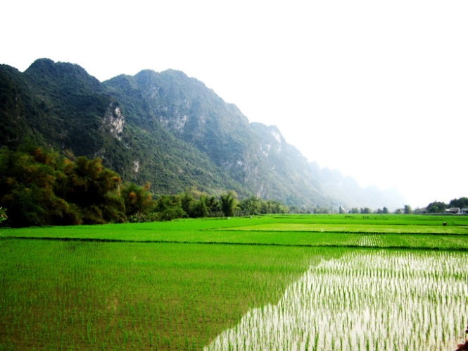 Cảnh sắc thanh bình dưới sóng núi chợ Chu