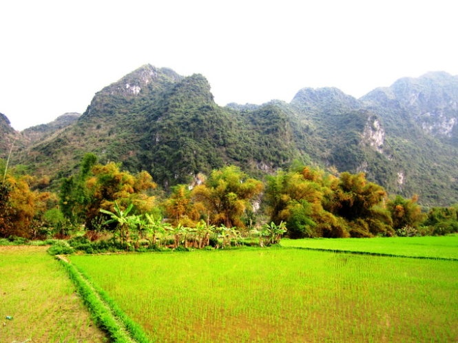 Lũy tre làng dưới chân những sóng núi