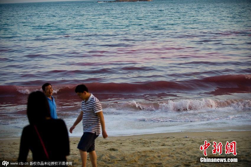  Hiện tượng này vô cùng bất ngờ, khó có thể dự đoán được và nguy hiểm, gây ảnh hưởng lớn đối với con người và hoạt động nuôi trồng thủy hải sản.