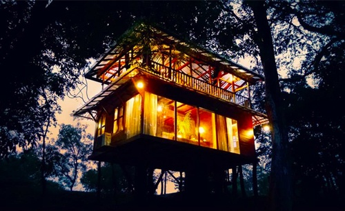 Khách sạn KumbukRiver ở Sri Lanka là một tòa nhà cây, nằm thơ mộng bên sông, với những lớp cửa kính nhìn được toàn bộ khung cảnh bên ngoài. Du khách đến đây được sống gần gũi với thiên nhiên. Thậm chí, trẻ em còn có thể thích thú ngắm nhìn một chú voi thật đi lang thang bên ngoài.  