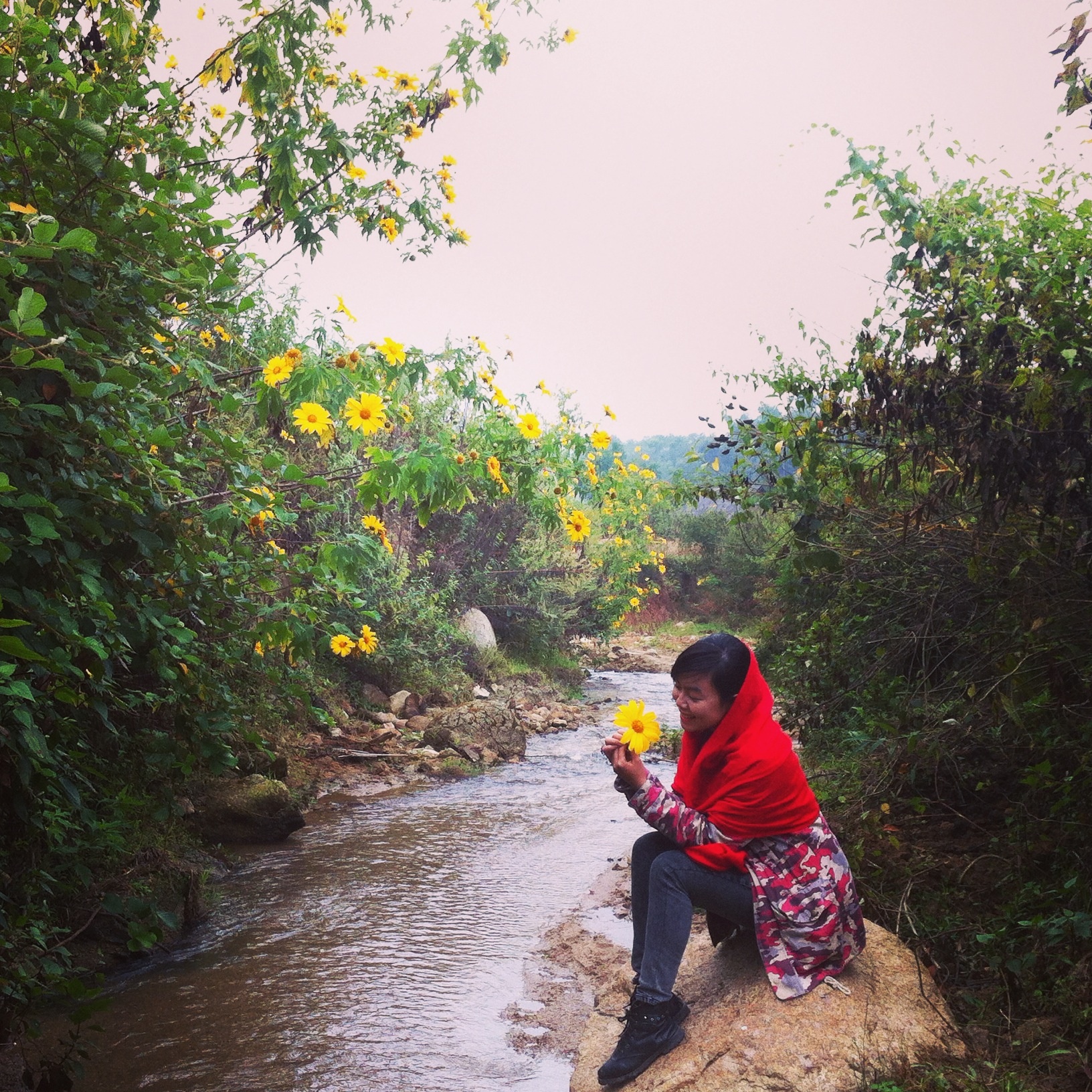 Mỹ Hạnh không gọi những chuyến đi của mình là phượt mà chỉ là xê dịch bởi theo cô phượt có nhiều cách hiểu khác nhau và cô đi theo cách của riêng mình.Hoa dã quỳ nở vàng rực bên các con suối nhỏ trong rừng Mường Phăng, Điện Biên.