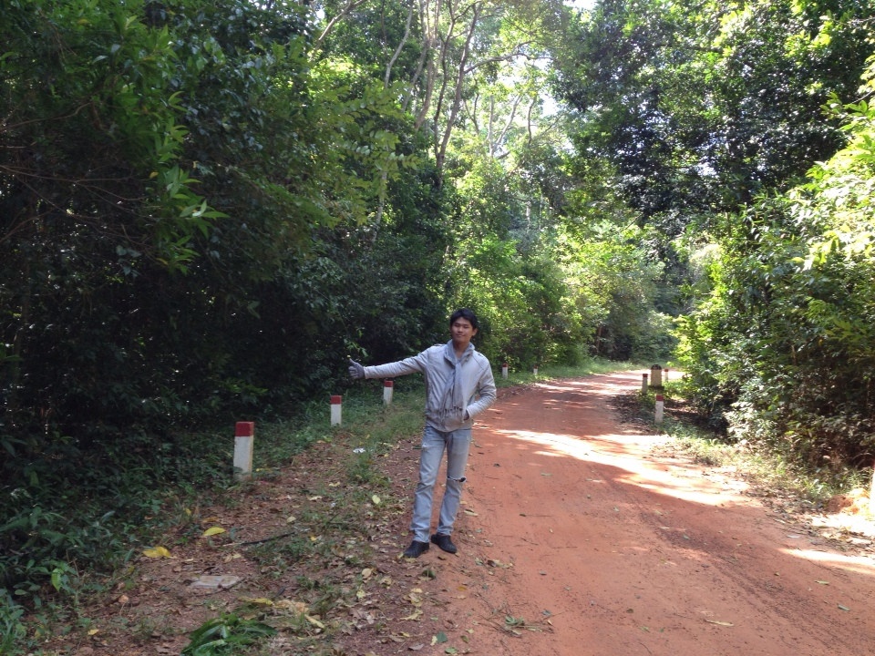 Giữa rừng nguyên sinh đảo ngọc...