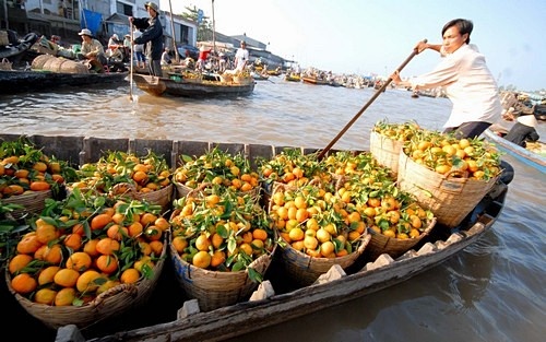 Chợ nổi Phụng Hiệp