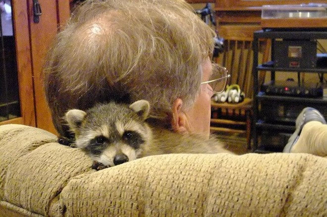 Vị trí ấm áp vô cùng ưa thích của nhiều vật nuôi trong nhà