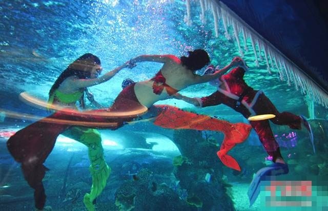 Hay như ông già Noel khiêu vũ cùng các nàng tiên cá ở công viên thế giới nước tại Tế Nam cũng khiến nhiều người ngạc nhiên thích thú.