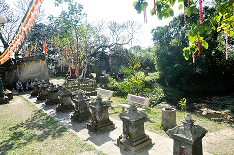 Vườn tháp ở Yên Tử