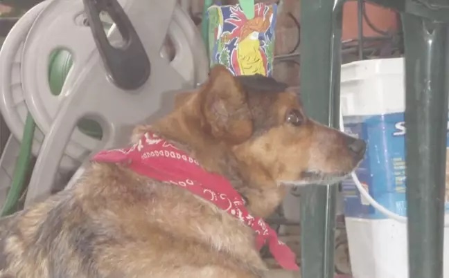 facebook,  camera anh 3