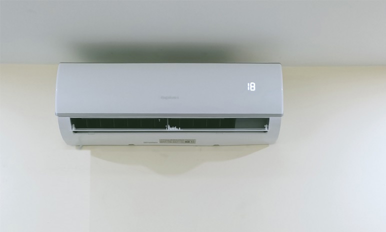 may lanh doi dau anh 7