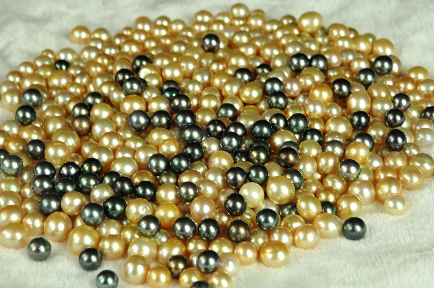 Ngoc trai gia nghin do o Sai Gon duoc che tac nhu the nao? hinh anh