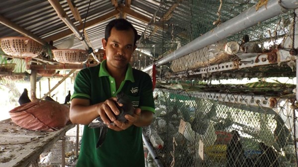 Nuoi bo cau thu nhap hang tram trieu dong hinh anh