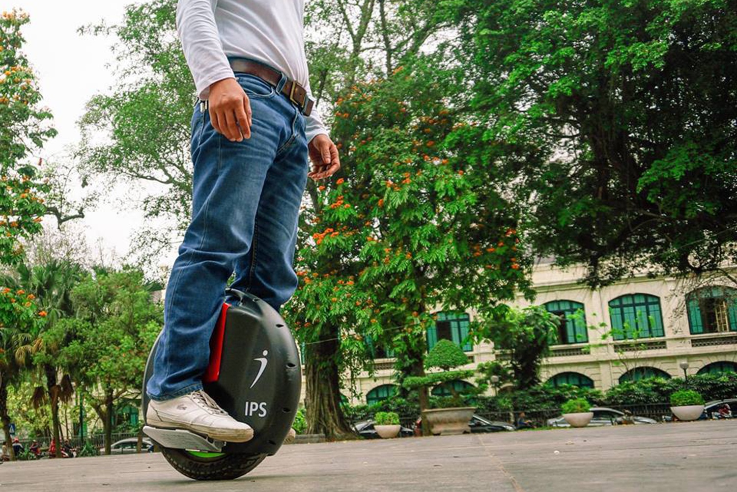 Xe dap mot banh kieu Tay gia nghin do gay to mo o Viet Nam hinh anh